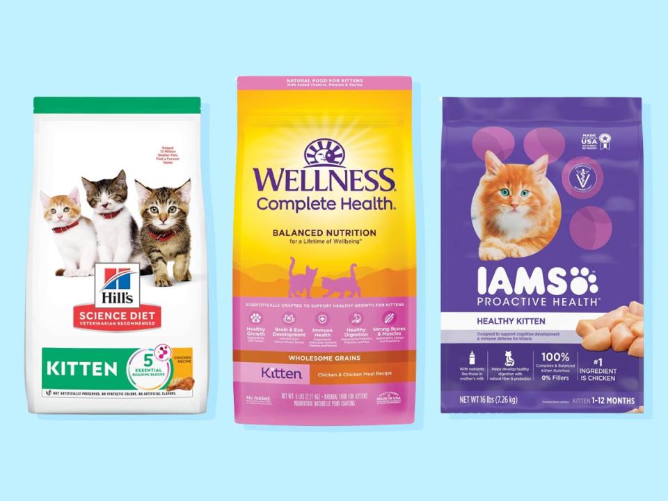 Three bags of dry kitten food from Wellness, Hill’s, and Iams are on a blue background.