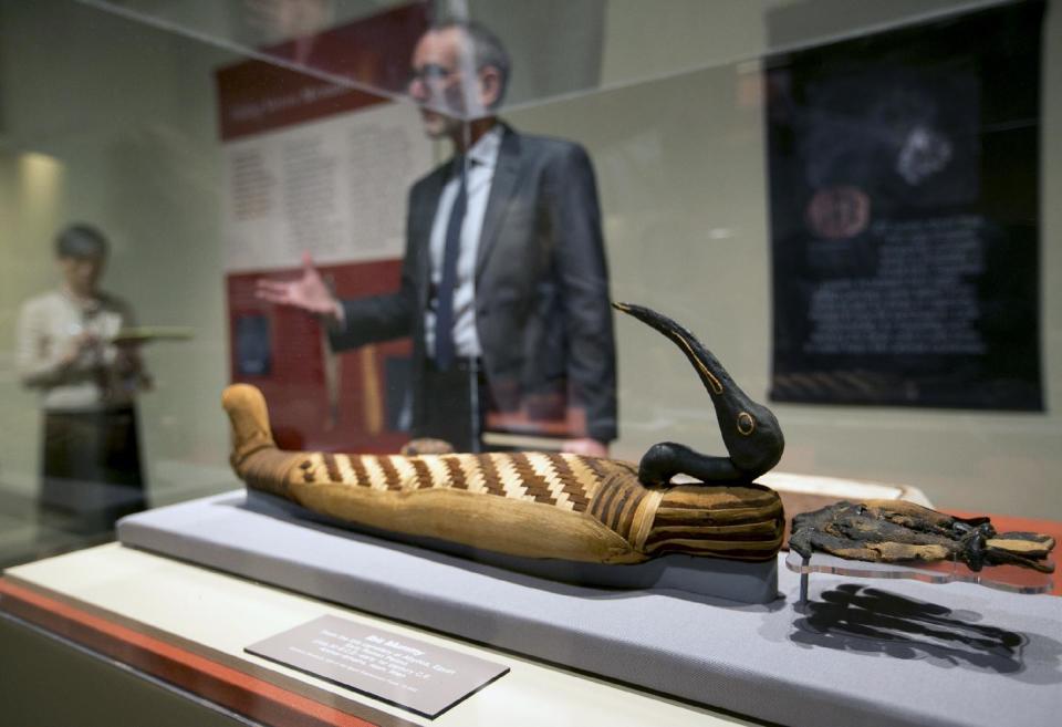 In this March 20, 2014 photo, Brooklyn Museum, Egyptian, Classical and Ancient Middle Eastern Art, curator, Edward Bleiberg speaks during a tour of the exhibit "Soulful Creatures: Animal Mummies in Ancient Egypt," at the Orange County's Bowers Museum in Santa Ana, Calif. The exhibition is on the ancient the mummification of animals in the Egyptian culture and religion. Drawn from the renowned collections of the Brooklyn Museum, Soulful Creatures features choice examples from among the many millions of mummies of birds, cats, dogs, snakes, and other animals preserved from at least thirty-one different cemeteries throughout Egypt. (AP Photo/Damian Dovarganes)