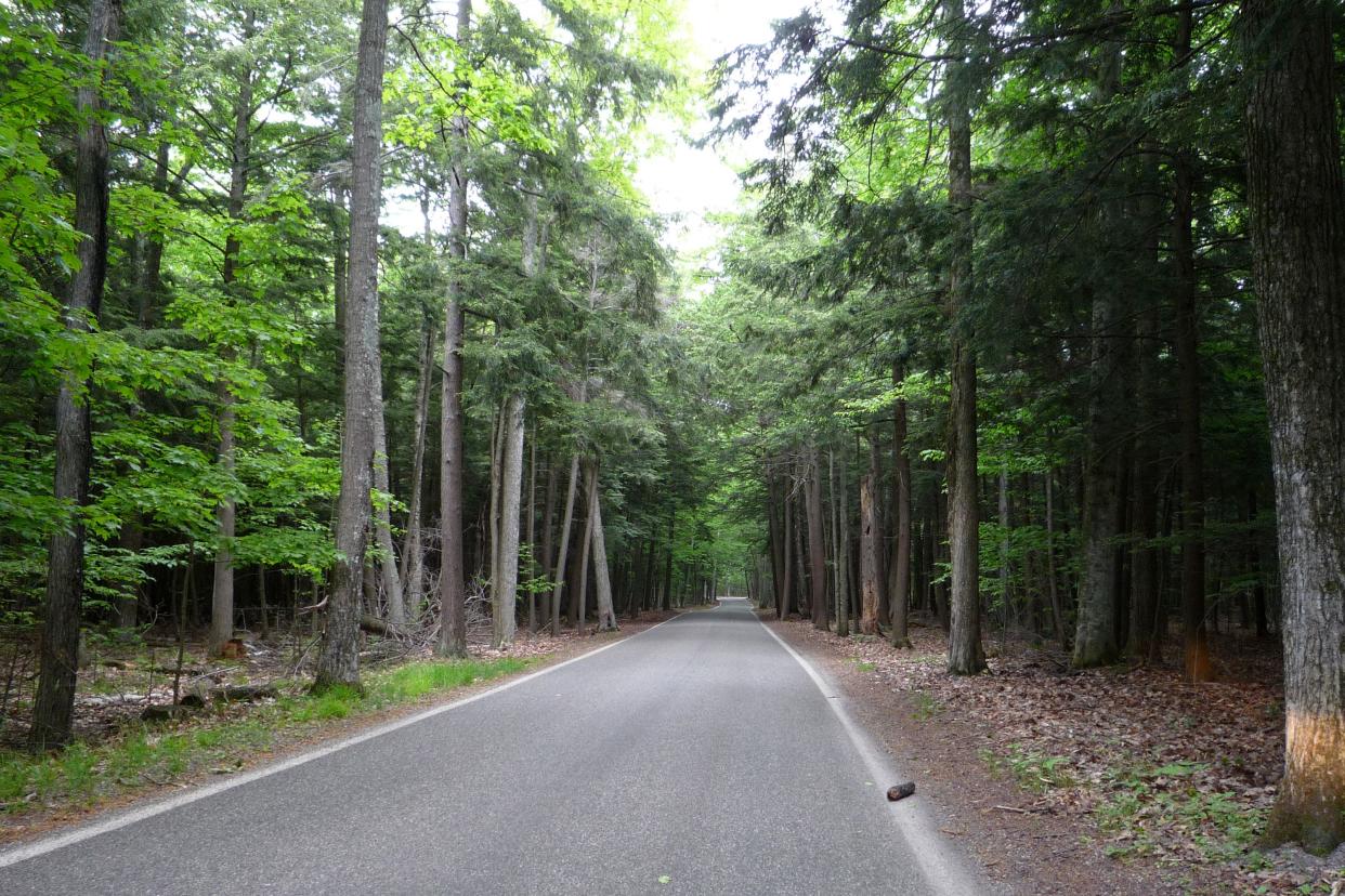 Michigan: Tunnel of Trees Scenic Heritage Route