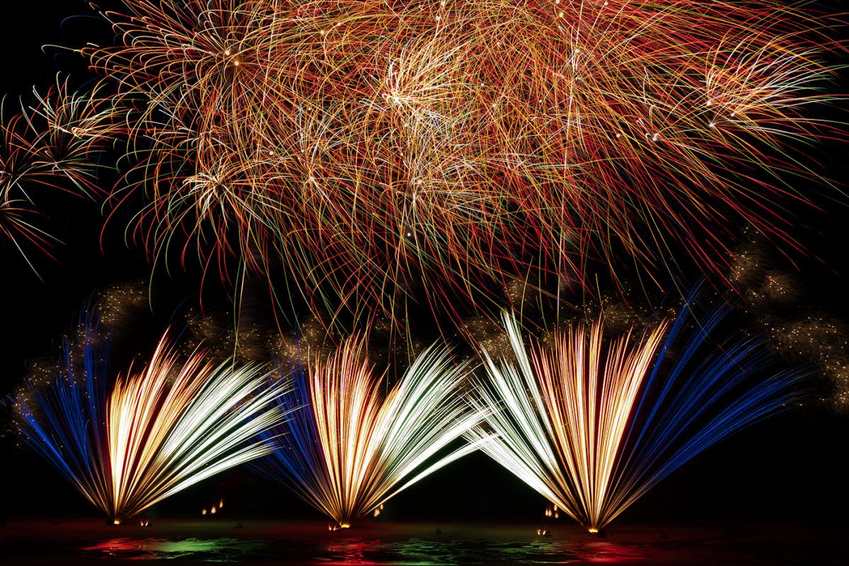 Fireworks <i>(Image: Andy Best)</i>