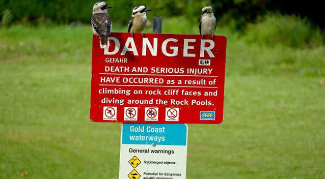 The signs on display at the popular swimming spot. Source: Supplied.