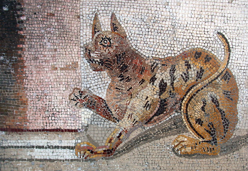 Los gatos nos han acompañado desde la antigüedad (Massimo Finizio - Wikimedia Commons)