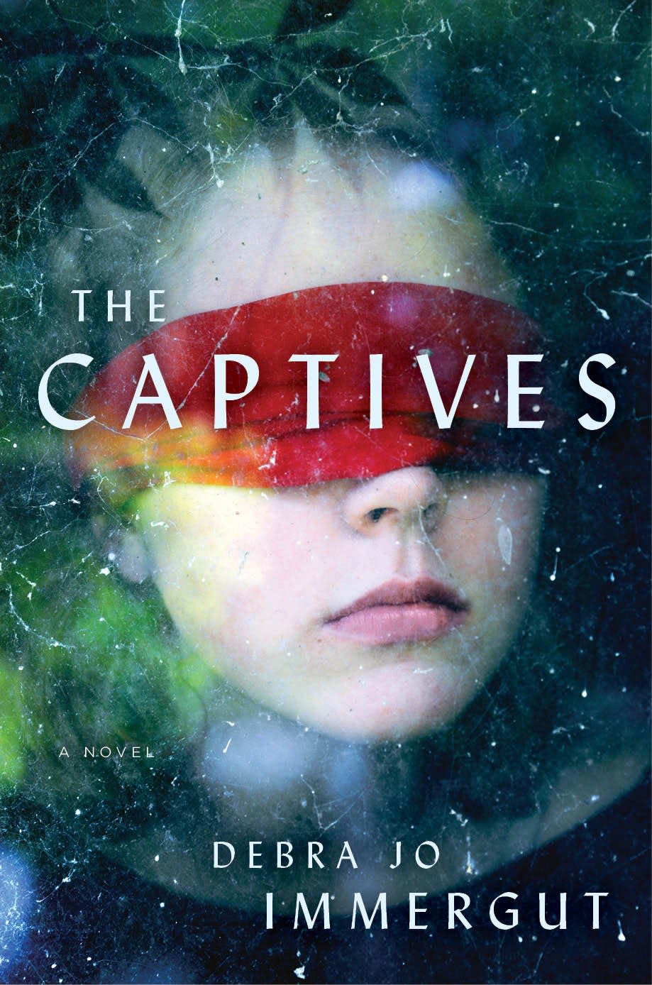 The Captives by Debra Jo Immergut (Ecco/HarperCollins)