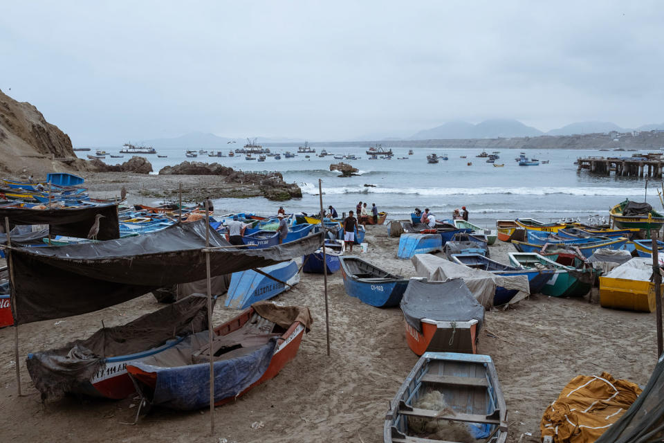 China Peru Fishing  (Florence Goupil for NBC News)