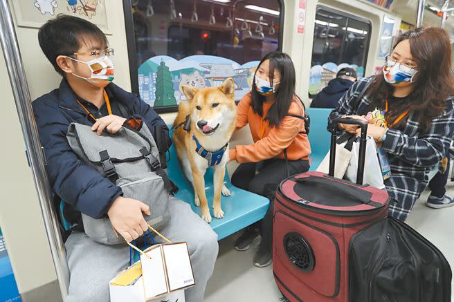 響應國際寵物日，台北捷運9日推出一日限定「寵物專車」活動，讓毛小孩可以坐在車廂座椅或窩在飼主腿上，寵物與主人共享愉快的捷運旅程。（劉宗龍攝）