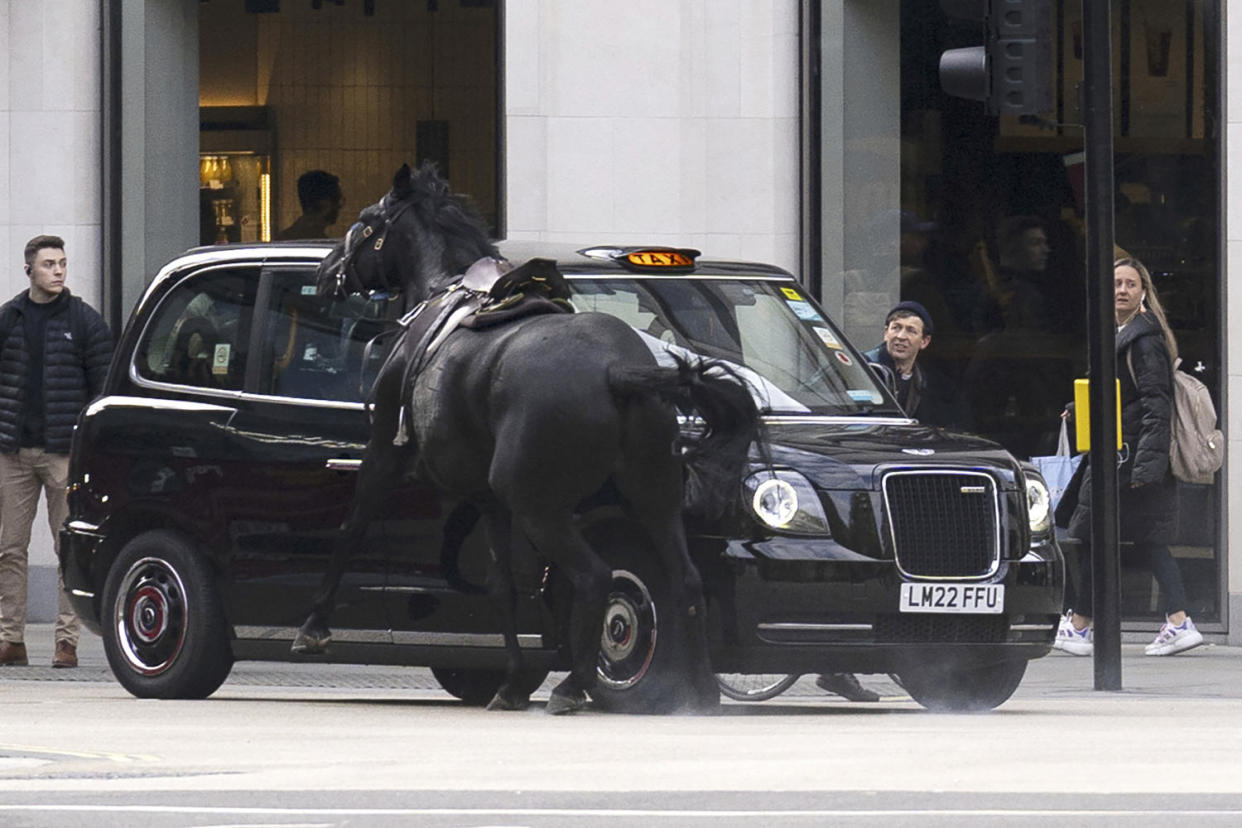 London horse incident (Jordan Pettitt / Press Association via AP)
