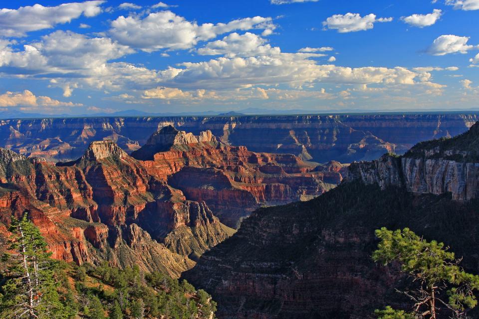 The Uncle Jim Trail makes a 5-mile loop through North Rim forests and offers lovely vistas.