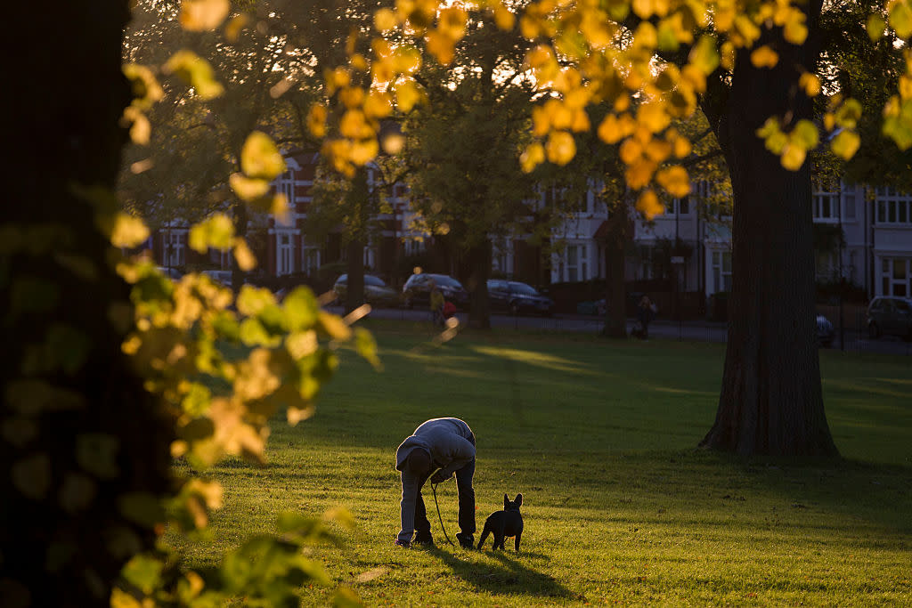 A dog owner has been fined for not picking up his animal’s mess (File picture: Getty)