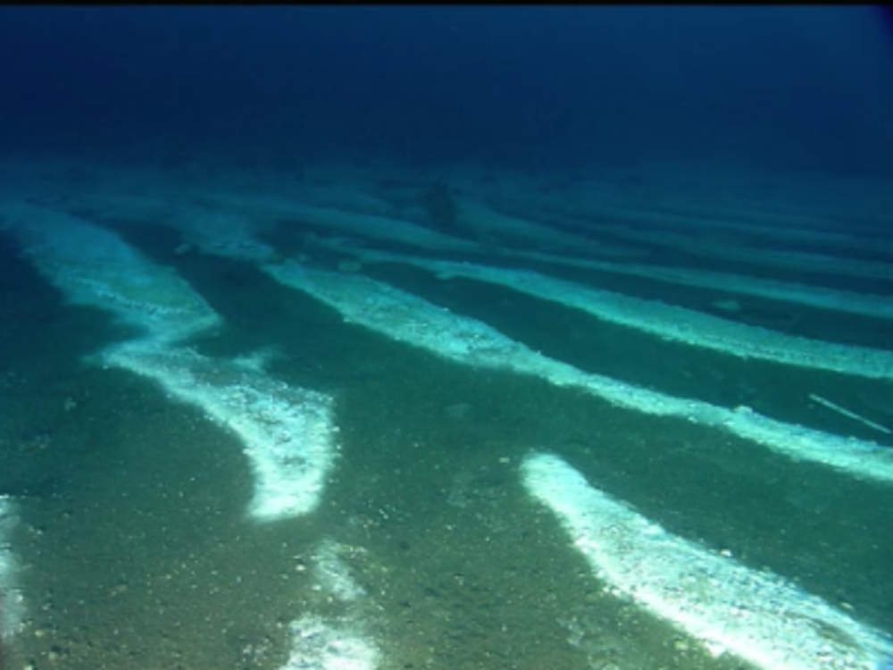 How deep is the ocean? Watch this video if you want to find out and have nightmares forever