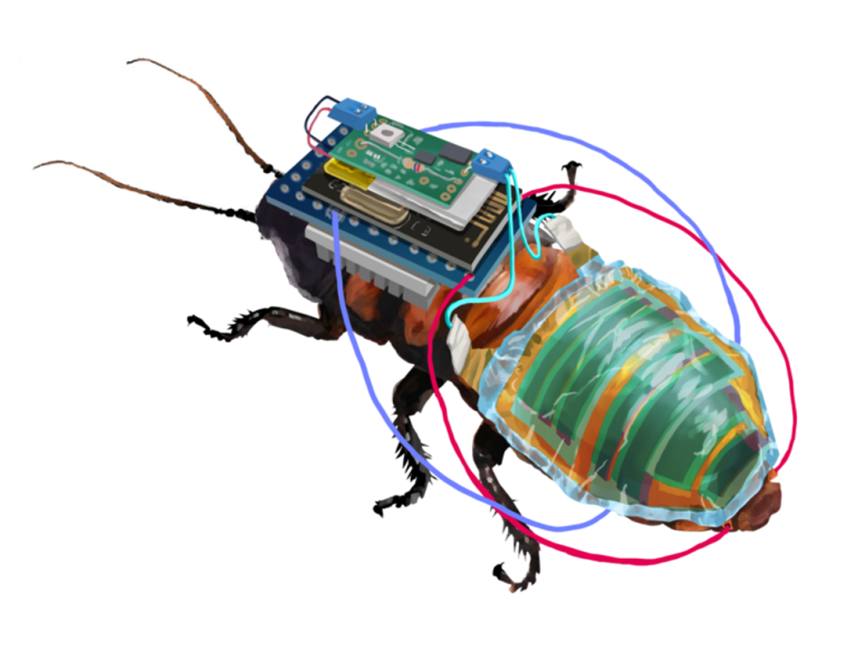 Ilustración de cómo se vería una cucaracha con la tecnología inalámbrica y una batería incorporada a un panel solar (Riken)