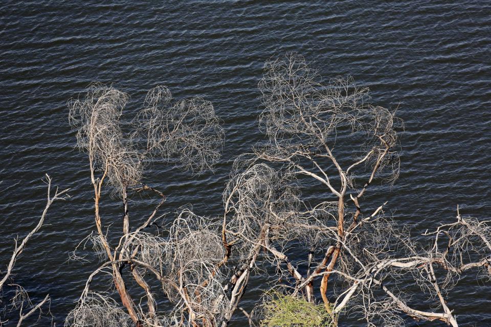 Earthprints: Lake Nakuru