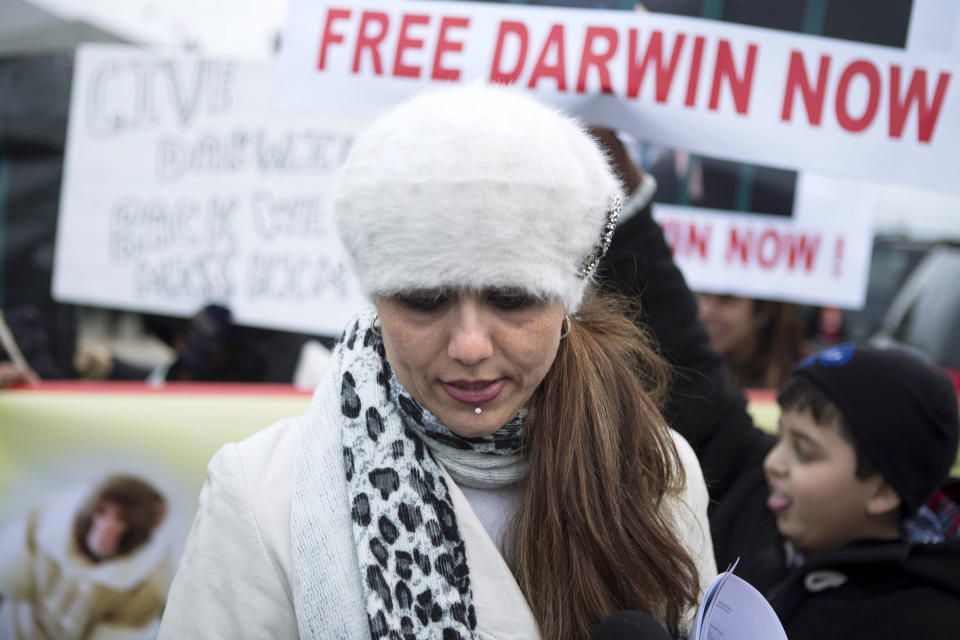 Yasmin Nakhuda stands with supporters outside an Animal Services offices in Toronto on Wednesday December 19, 2012 as she rallies support for the return of her monkey which was seized earlier this month after it was found wandering at an Ikea parking lot. THE CANADIAN PRESS/Chris Young