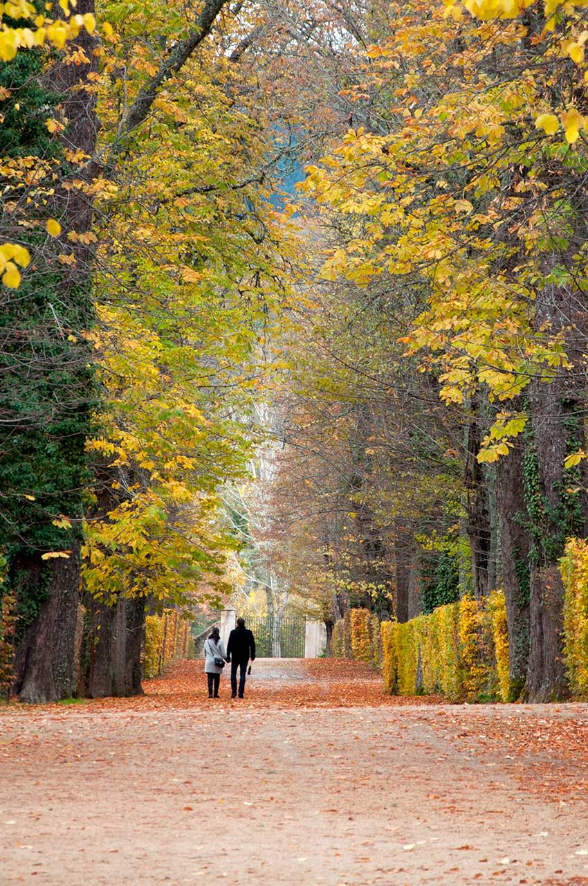 la-granja-segovia