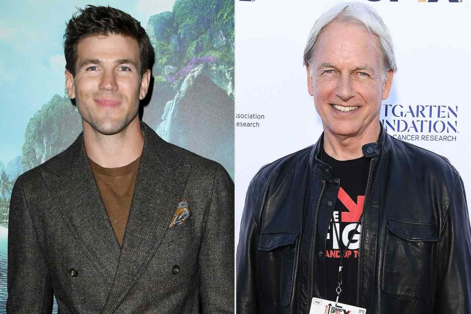 <p>Jon Kopaloff/Getty, Steve Granitz/WireImage</p> Austin Stowell (left) and Mark Harmon