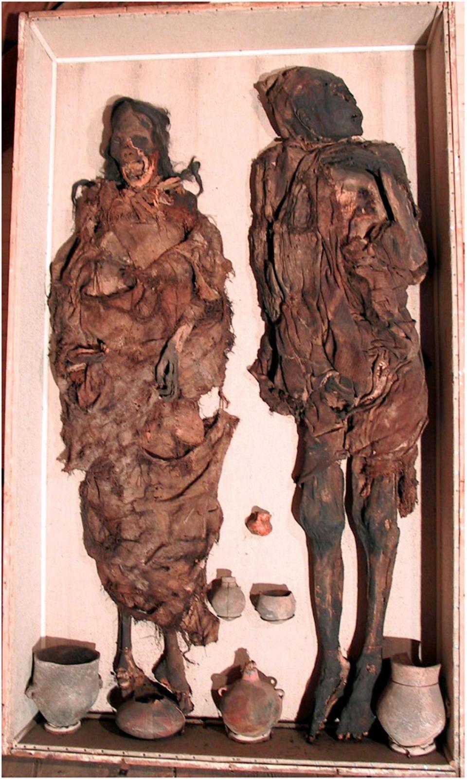 The “Delémont man” (right) and the “Delémont woman” (left)—“overview of the two mummies in their repository case.”