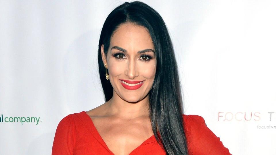 Nikki Bella is single and ready to mingle in a new preview of Sunday's 'Total Bellas' season four premiere.