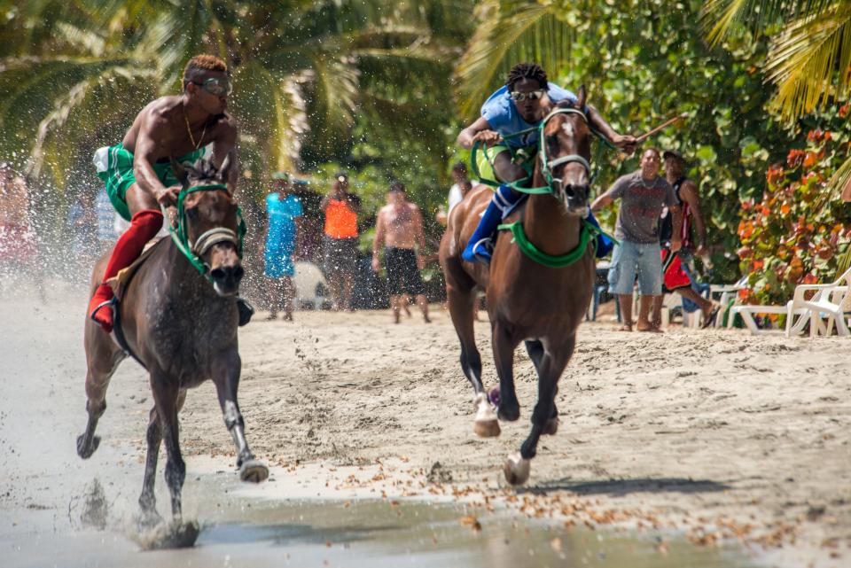 Horse races on South West Bay.