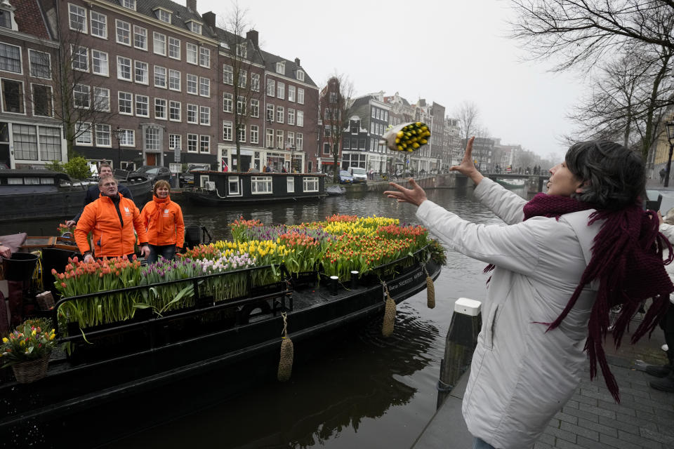 A woman catches a free bouquet of tulips in Amsterdam, Netherlands, Saturday, Jan. 15, 2022. Stores across the Netherlands cautiously re-opened after weeks of coronavirus lockdown, and the Dutch capital's mood was further lightened by dashes of color in the form of thousands of free bunches of tulips handed out by growers sailing with a boat through the canals. (AP Photo/Peter Dejong)