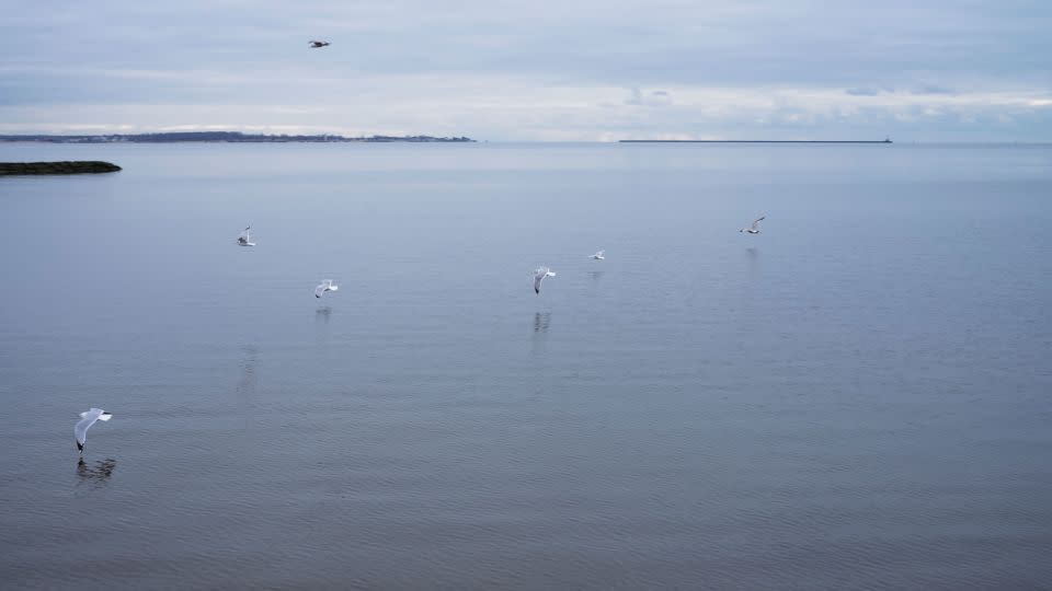 Seagulls fly along the Connecticut shoreline in West Haven, Connecticut. - Laura Oliverio/CNN