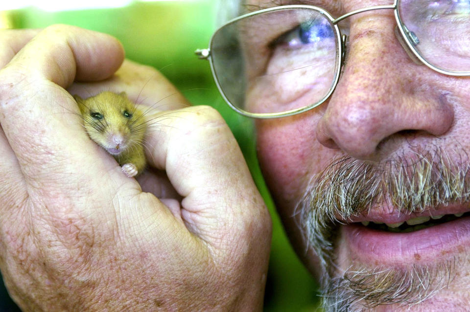 Television wildlife presenter, Bill Oddie, with a Dormouse, at the launch of the 'Great Nut Hunt' at High Elms Country Park Farnborough, Greater London. * Organised by English Nature to encourage people to search for 'Dormouse-Nibbled Hazel Nuts' the results which will help conservationists to develop a national plan to save the dormouse from extinction. (Photo by Tim Ockenden - PA Images/PA Images via Getty Images)