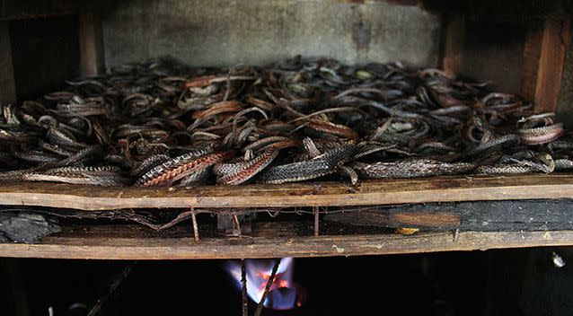 The snake skins are put in an oven to dry while the rest of the snake is tossed into a pile. Photo: Getty Images