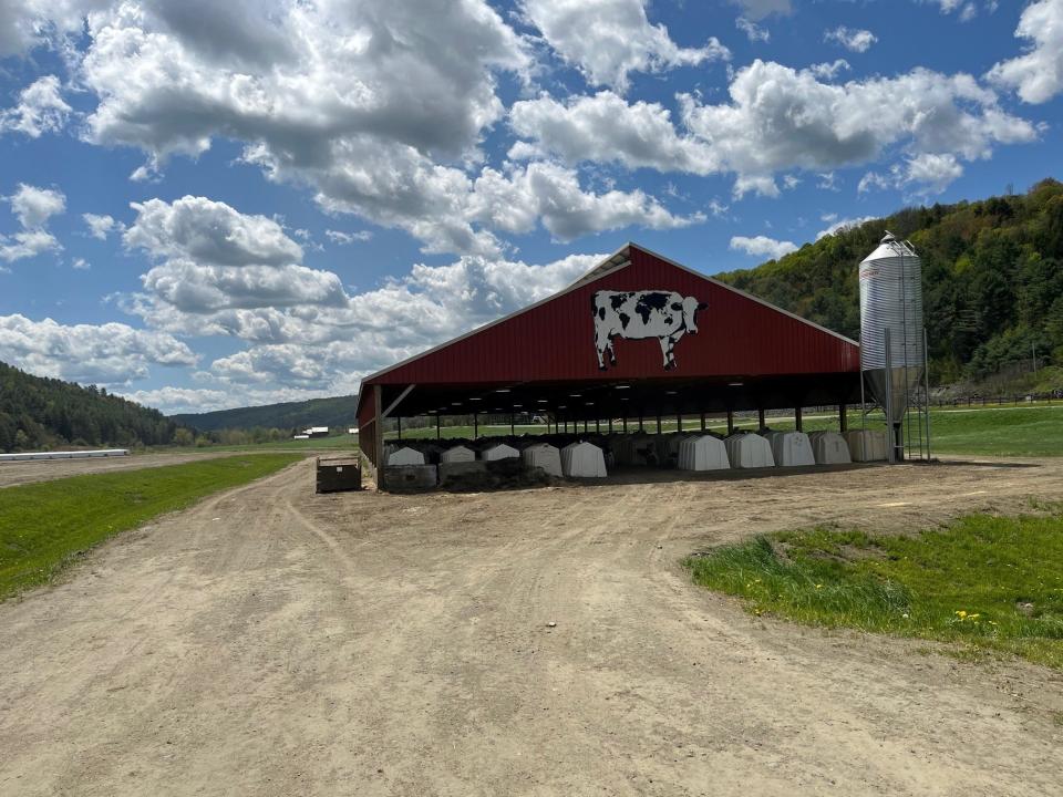 The calf barn at Sprague Ranch dairy farm in Brookfield, as seen on May 12, 2023.