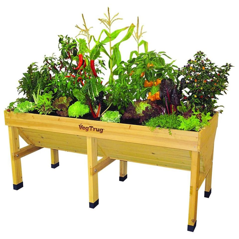 1) Raised Bed