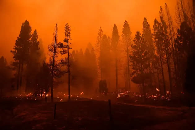 El incendio Windy en el Parque Nacional de Secuoyas de California quem&#xf3; 40.000 hect&#xe1;reas en septiembre. (Photo: PATRICK T. FALLON VIA GETTY IMAGES)