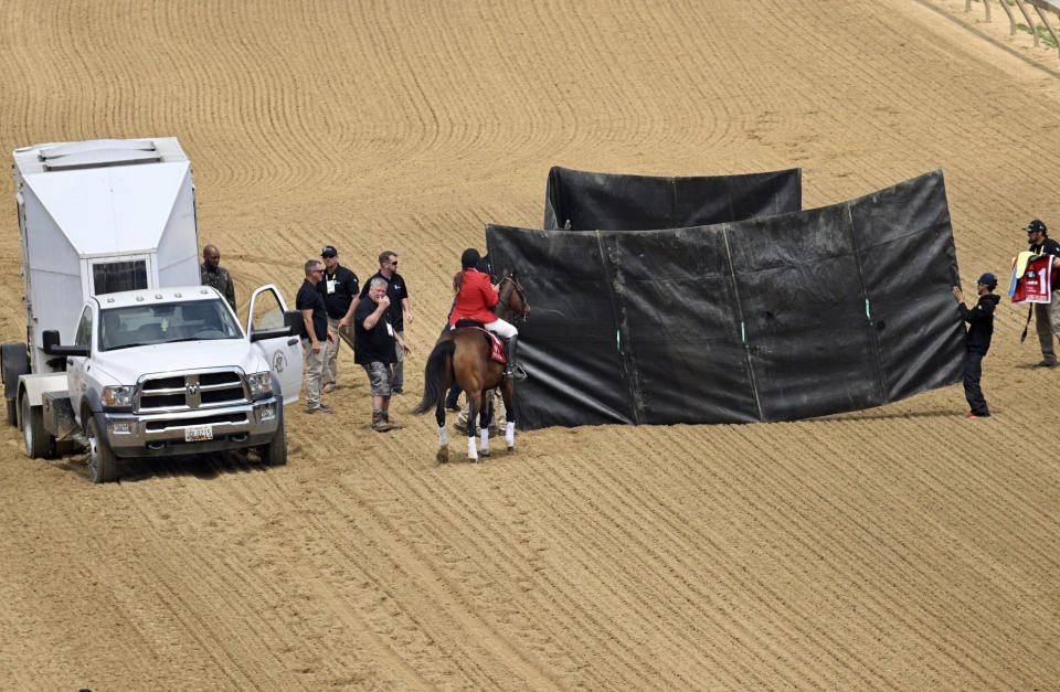 Bob Baffert-trained horse and favorite Havnameltdown, behind the curtain, had to be euthanized Saturday, May 20, 2023, during the sixth race of Preakness Day at Pimlico Race Course in Baltimore. (Jerry Jackson/Baltimore Sun/Tribune News Service via Getty Images)