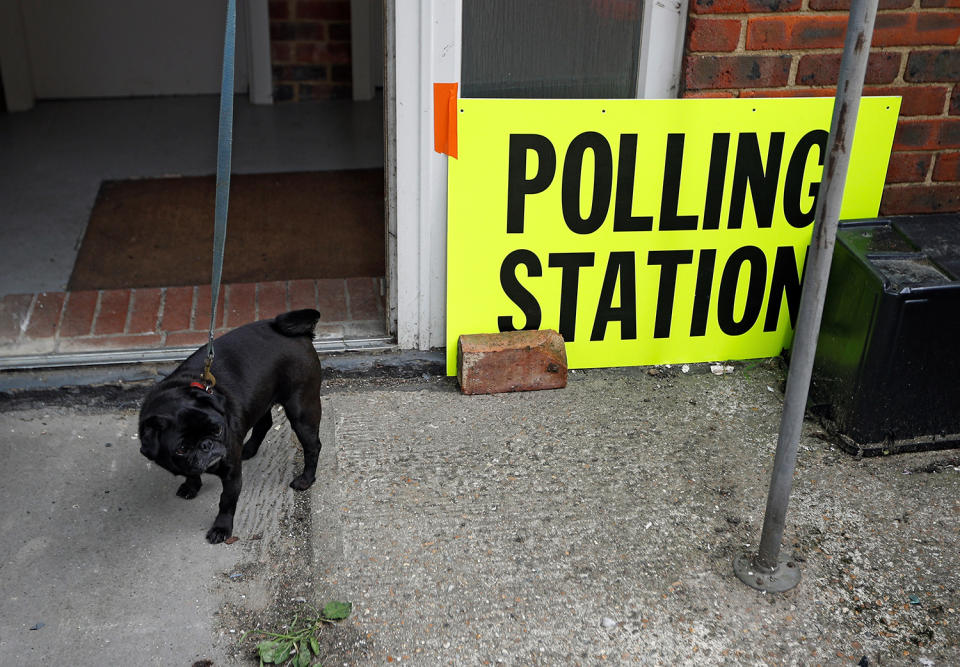 <p>A dog is seen close to the polling station sing in Hastings, Britain June 8, 2017. (Photo: Peter Nicholls/Reuters) </p>