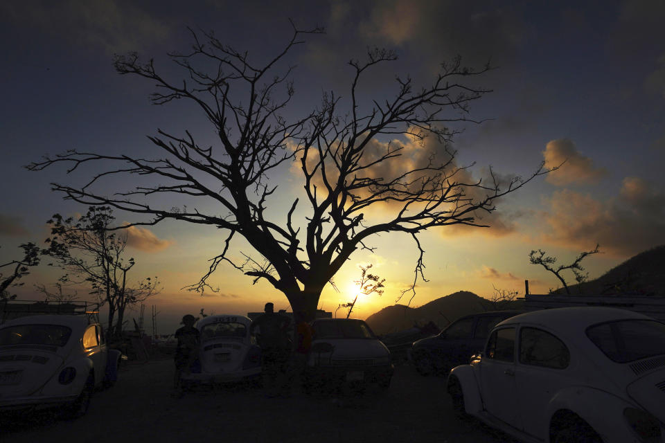 A leafless tree stands exposed nearly three weeks after Hurricane Otis hit as a Category storm in the Alta Cuauhtemoc area of Acapulco, Mexico, at sunset Thursday, Nov. 9, 2023. (AP Photo/Marco Ugarte)