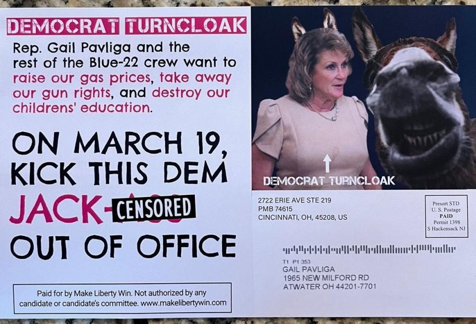 This mailer, sent to the home of State Rep. Gail Pavliga, is from a group seeking to oust her from office. Pavliga claims an "out-of-state dark-money" group is "trying to buy my seat."