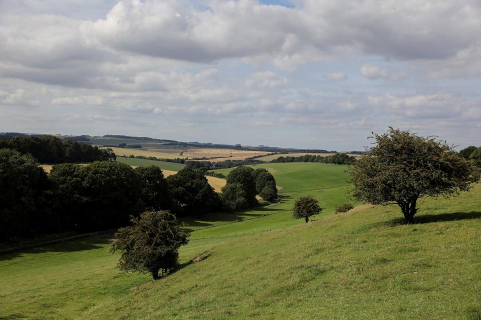 They indicates the 20-tonne, seven-metre high megaliths were brought from West Woods, near Marlborough (REUTERS)