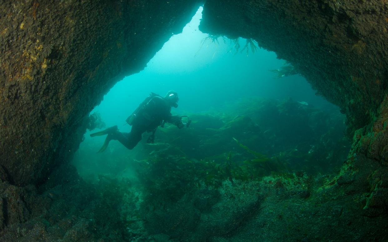 cornwall diving - Getty