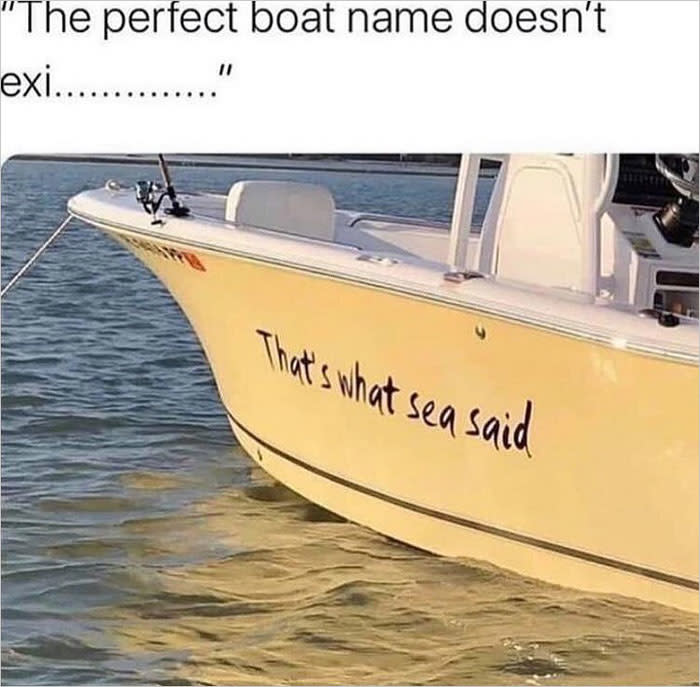 A boat saying, "That's what sea said."