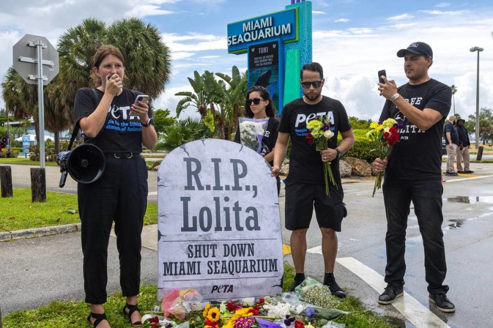 Amanda Brody, organizadora de PETA, dirige un homenaje póstumo frente a voluntarios, activistas y medios junto a un monumento improvisado durante una vigilia organizada por PETA para la orca Lolita, también conocida como Toki, afuera del Miami Seaquarium en Key Biscayne, Florida, el sábado 19 de agosto de 2023. Toki murió el viernes de una supuesta insuficiencia renal tras décadas de cautiverio desde que tenía cuatro años.