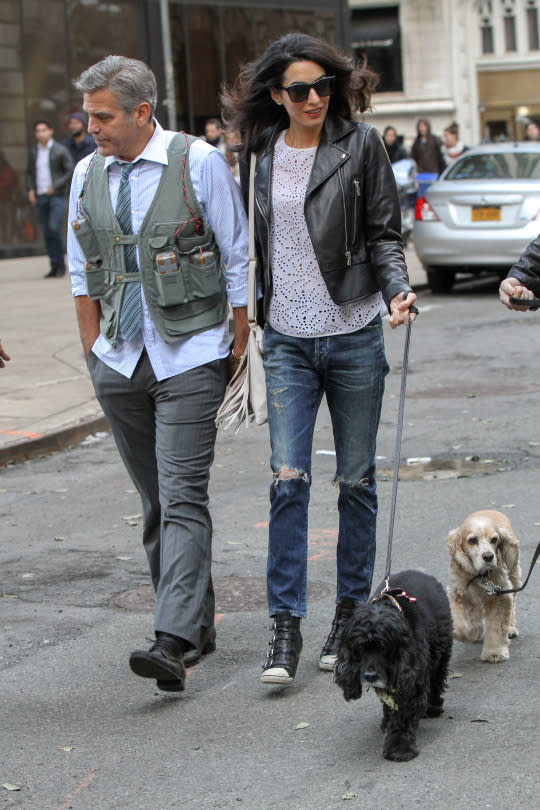 Amal Clooney walking her cocker spaniels wearing wedge sneakers.