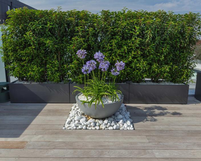 <p> One of the best things about building a custom deck is you can add all the unique touches you want. And one of our favorite DIY deck ideas is to add &apos;pockets&apos; for extra flowers and foliage, or, as seen here, for a pebbled container display. </p> <p> The contrast in textures instantly adds a contemporary vibe to this area, and we love the choice of agapanthus which bring a stunning shot of indigo-blue to the view.&#xA0; </p> <p> Alternatively, create a sunken bed within your deck filled with reliable perennials &#x2013; types of ornamental grasses are a lovely pick for their soothing rustle in the breeze and feathery texture. </p>