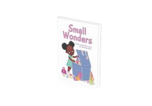 Small Wonders book cover