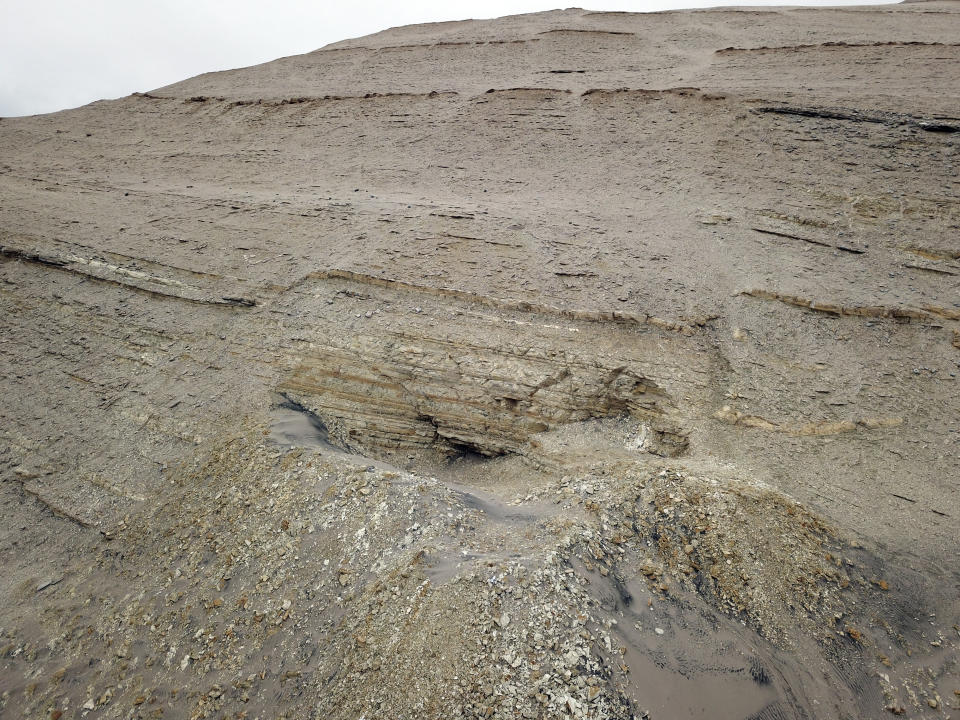 In this June, 2018 photo provided by Department of Earth Sciences, University of Pisa, is the site of origin of Perucetus colossus field excavation in the Ica desert, in Ica Province, southern Peru. A new species of ancient whale might be the heaviest animal ever found. Scientists reported Wednesday, Aug. 2, 2023, that the creature could challenge the blue whale's title as the heaviest animal that lived on Earth. They've been digging up massive fossils from the creature in the Peruvian desert over the past decade. (Giovanni Bianucci/Department of Earth Sciences, University of Pisa, via AP)