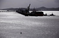 A ship is loaded with coal at the RG Tanna Coal Terminal located at the town of Gladstone in Queensland, Australia, June 12, 2015. REUTERS/David Gray/File Photo