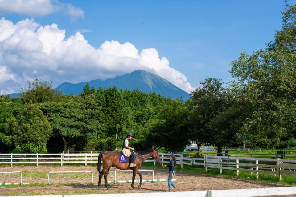 2023島根鳥取山陰景點推薦 自駕從出雲松江玩到大山