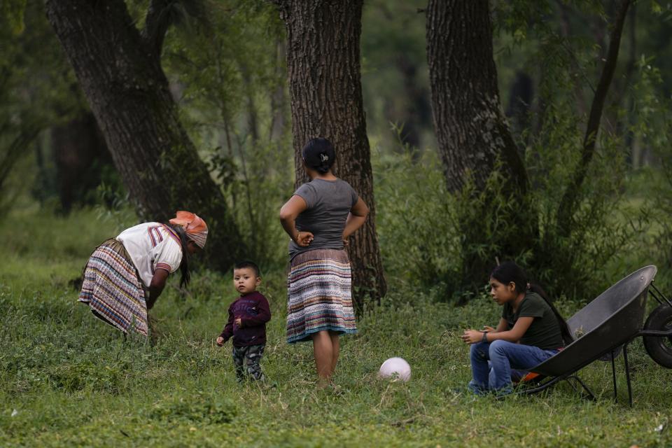 Una familia descansa después de cortar hierba para sus burros y vacas en Plan de Ayala, un pueblo tojolabal en la localidad de Las Margaritas del estado de Chiapas, México, el jueves 2 de mayo de 2024. Dos mujeres están en la papeleta para las elecciones presidenciales mientras en algunas áreas indígenas, las mujeres no tienen voz en sus propias comunidades. No obstante, con ayuda de las nuevas generaciones, algunas mujeres indígenas están empujando el cambio. (AP Foto/Marco Ugarte)