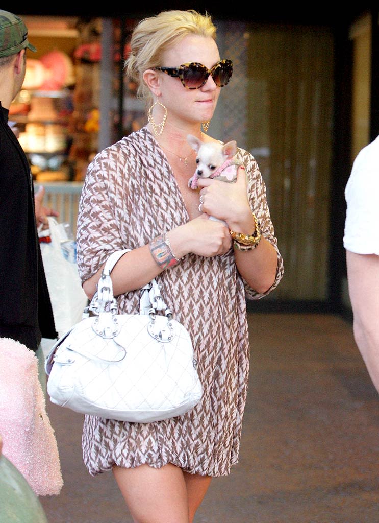 Spears Britney With Dog