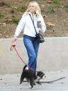 <p>Out in Los Feliz, Malin Akerman takes her dog to the park on Jan. 11.</p>