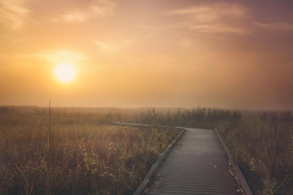 Soft early morning sunlight with boardwalk leading to marsh at Bombay Hook National Wildlife Preserve in Delaware in late fall.