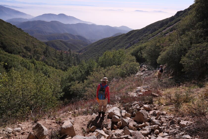 Rimforest, CA - December 04: Environmental activist Amanda Frye hikes through the San Bernardino National Forest to see the water pipelines that the company BlueTriton uses to take water for the bottled water brand Arrowhead. Photos taken in San Bernardino National Forest on Saturday, Dec. 4, 2021 in Rimforest, CA. (Allen J. Schaben / Los Angeles Times)