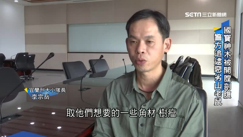 李宗岳表示，山老鼠不管樹木能否存活就盜取，很可惡。