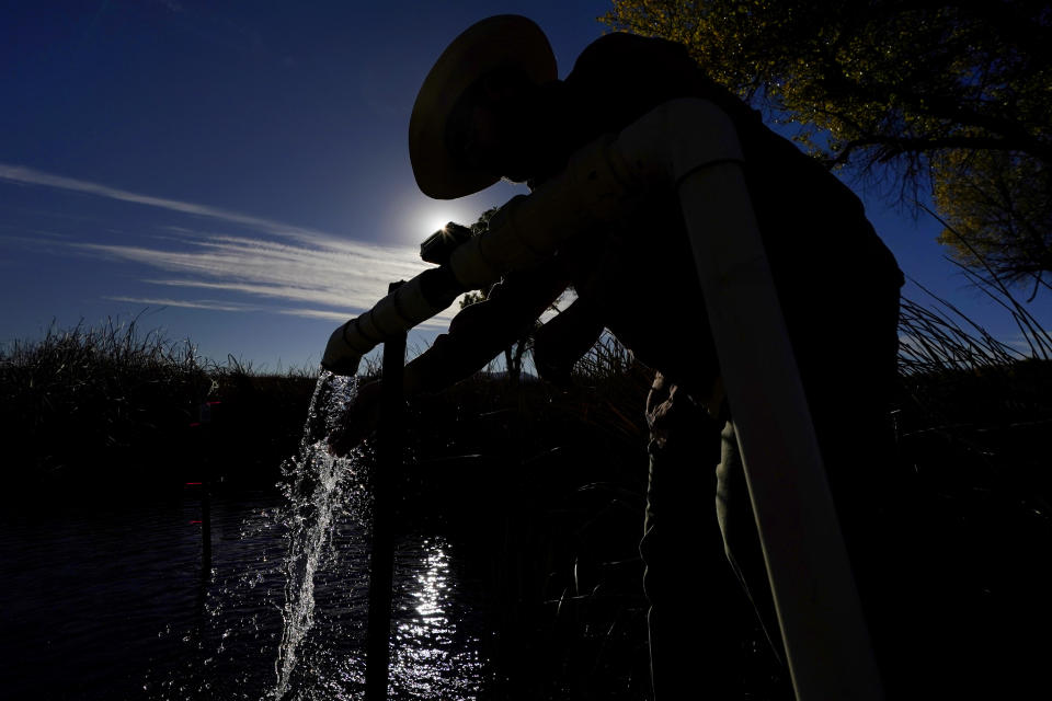 Myles Traphagen, Borderlands Program Coordinator for Wildlands Network, checks on a pumping station from an Artesian aquifer inside the San Bernardino National Wildlife Refuge, Tuesday, Dec. 8, 2020, in Douglas, Ariz. Construction of the border wall, mostly in government owned wildlife refuges and Indigenous territory, has led to environmental damage and the scarring of unique desert and mountain landscapes that conservationists fear could be irreversible. (AP Photo/Matt York)