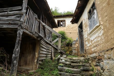 Abandoned houses stand in the empty village of Repusnica, near the south-eastern town of Knjazevac, Serbia, August 15, 2016. REUTERS/Marko Djurica